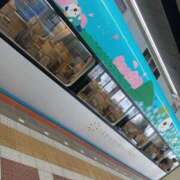 ヒメ日記 2025/08/18 17:27 投稿 渋谷　かな ギン妻パラダイス 谷九店