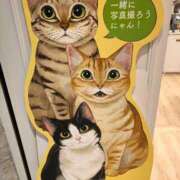 ヒメ日記 2025/08/27 17:52 投稿 渋谷　かな ギン妻パラダイス 谷九店