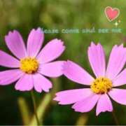 ヒメ日記 2025/09/19 15:19 投稿 渋谷　かな ギン妻パラダイス 谷九店