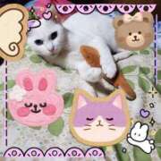 ヒメ日記 2025/11/08 09:44 投稿 渋谷　かな ギン妻パラダイス 谷九店