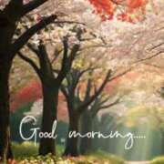 ヒメ日記 2025/11/10 07:30 投稿 渋谷　かな ギン妻パラダイス 谷九店