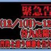 ヒメ日記 2025/11/30 15:44 投稿 渋谷　かな ギン妻パラダイス 谷九店