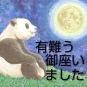 ヒメ日記 2025/12/19 20:03 投稿 渋谷　かな ギン妻パラダイス 谷九店