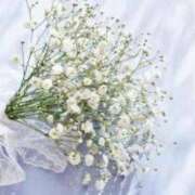 ヒメ日記 2026/01/02 12:23 投稿 渋谷　かな ギン妻パラダイス 谷九店