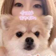 相川 熱… 品川やすらぎ