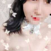 ヒメ日記 2025/10/04 09:42 投稿 瀬戸　ももえ 川崎南町人妻高級ソープ エル・カーヒル(ELCURHIL)秘密の刻