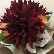 ヒメ日記 2025/08/10 09:05 投稿 かすみ 奥様鉄道69 東京店