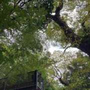 ヒメ日記 2025/08/20 01:15 投稿 かすみ 奥様鉄道69 東京店