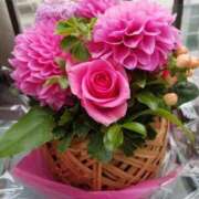 ヒメ日記 2025/11/11 18:05 投稿 かすみ 奥様鉄道69 東京店