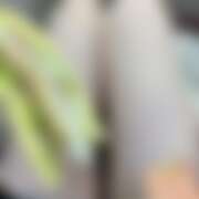 ヒメ日記 2025/10/04 13:53 投稿 みつき 東京リップ八王子店