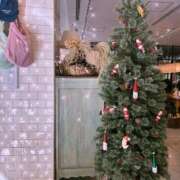 ヒメ日記 2025/11/04 16:50 投稿 みつき 東京リップ八王子店