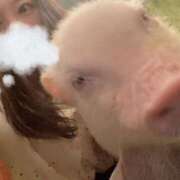 ヒメ日記 2026/01/01 09:01 投稿 みつき 東京リップ八王子店