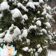 ヒメ日記 2026/02/08 09:11 投稿 みつき 東京リップ八王子店