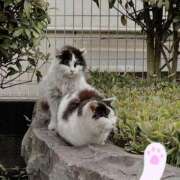 ヒメ日記 2026/02/08 09:30 投稿 みつき 東京リップ八王子店