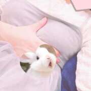 ヒメ日記 2025/10/18 18:25 投稿 ゆう 東京リップ八王子店