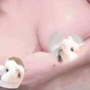 ヒメ日記 2025/11/19 11:30 投稿 ゆう 東京リップ八王子店