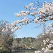 ヒメ日記 2026/03/29 17:43 投稿 はつね 東京リップ八王子店