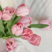 ヒメ日記 2025/09/08 19:00 投稿 青木めぐみ イエスグループ熊本 華女