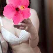 ヒメ日記 2025/08/23 09:31 投稿 ちさと 京都ホテヘル倶楽部