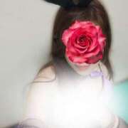 ヒメ日記 2025/09/09 23:29 投稿 ちさと 京都ホテヘル倶楽部