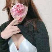 ヒメ日記 2025/11/24 14:29 投稿 ちさと 京都ホテヘル倶楽部