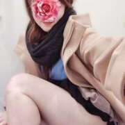 ヒメ日記 2025/12/04 21:16 投稿 ちさと 京都ホテヘル倶楽部