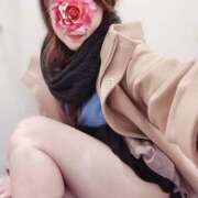 ヒメ日記 2025/12/04 21:14 投稿 ちさと 京都ホテヘル倶楽部