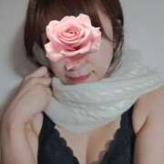 ヒメ日記 2025/12/22 19:47 投稿 ちさと 京都ホテヘル倶楽部