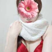 ヒメ日記 2026/02/17 10:49 投稿 ちさと 京都ホテヘル倶楽部