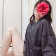 ヒメ日記 2026/03/29 08:24 投稿 ちさと 京都ホテヘル倶楽部