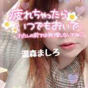 ヒメ日記 2026/02/10 12:42 投稿 温森ましろ 五十路マダム金沢店