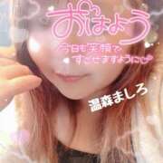 ヒメ日記 2026/02/24 09:48 投稿 温森ましろ 五十路マダム金沢店