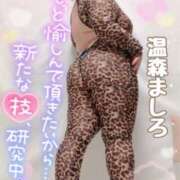 ヒメ日記 2026/03/11 12:12 投稿 温森ましろ 五十路マダム金沢店