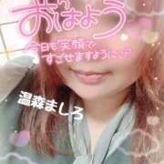 ヒメ日記 2026/03/28 11:48 投稿 温森ましろ 五十路マダム金沢店