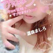 ヒメ日記 2026/04/07 10:22 投稿 温森ましろ 五十路マダム金沢店