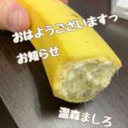 ヒメ日記 2026/05/06 08:28 投稿 温森ましろ 五十路マダム金沢店
