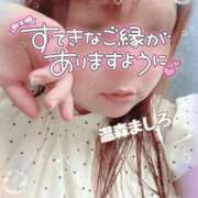 ヒメ日記 2026/07/31 11:38 投稿 温森ましろ 五十路マダム金沢店