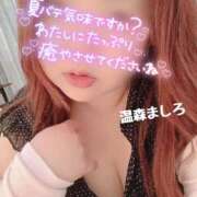 ヒメ日記 2026/09/02 12:44 投稿 温森ましろ 五十路マダム金沢店
