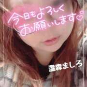 ヒメ日記 2026/09/09 09:48 投稿 温森ましろ 五十路マダム金沢店