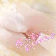 ヒメ日記 2025/09/29 11:00 投稿 ふたば BiBi