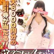 ヒメ日記 2025/09/30 17:54 投稿 ふたば BiBi