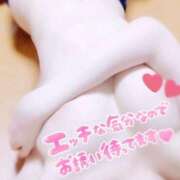 ヒメ日記 2025/11/11 13:00 投稿 ふたば BiBi