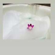 ヒメ日記 2025/10/12 19:29 投稿 あずさ とある風俗店♡やりすぎさーくる新宿大久保店♡で色んな無料オプションしてみました