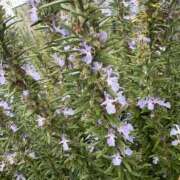 ヒメ日記 2025/10/27 21:04 投稿 あずさ とある風俗店♡やりすぎさーくる新宿大久保店♡で色んな無料オプションしてみました