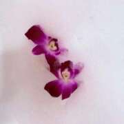 ヒメ日記 2025/10/29 10:32 投稿 あずさ とある風俗店♡やりすぎさーくる新宿大久保店♡で色んな無料オプションしてみました