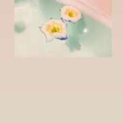 ヒメ日記 2025/11/17 20:43 投稿 あずさ とある風俗店♡やりすぎさーくる新宿大久保店♡で色んな無料オプションしてみました