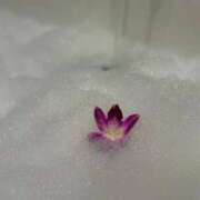 ヒメ日記 2025/11/21 23:18 投稿 あずさ とある風俗店♡やりすぎさーくる新宿大久保店♡で色んな無料オプションしてみました