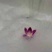 ヒメ日記 2025/11/21 23:14 投稿 あずさ とある風俗店♡やりすぎさーくる新宿大久保店♡で色んな無料オプションしてみました