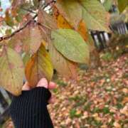 ヒメ日記 2025/12/10 12:16 投稿 あずさ とある風俗店♡やりすぎさーくる新宿大久保店♡で色んな無料オプションしてみました