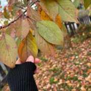 ヒメ日記 2025/12/10 12:30 投稿 あずさ とある風俗店♡やりすぎさーくる新宿大久保店♡で色んな無料オプションしてみました